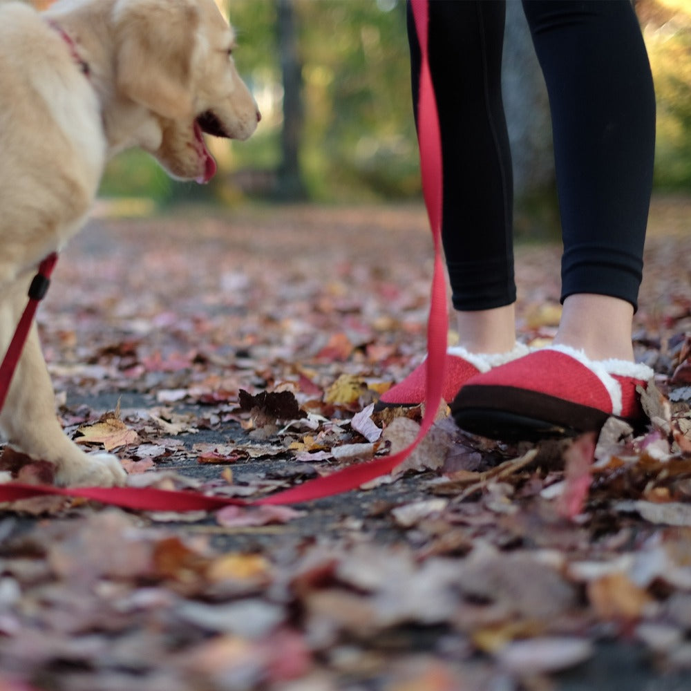 Women's Moc Ragg Slippers in Red Ragg Wool On Model Playing with Puppy in Leaves#color_red-ragg-wool
