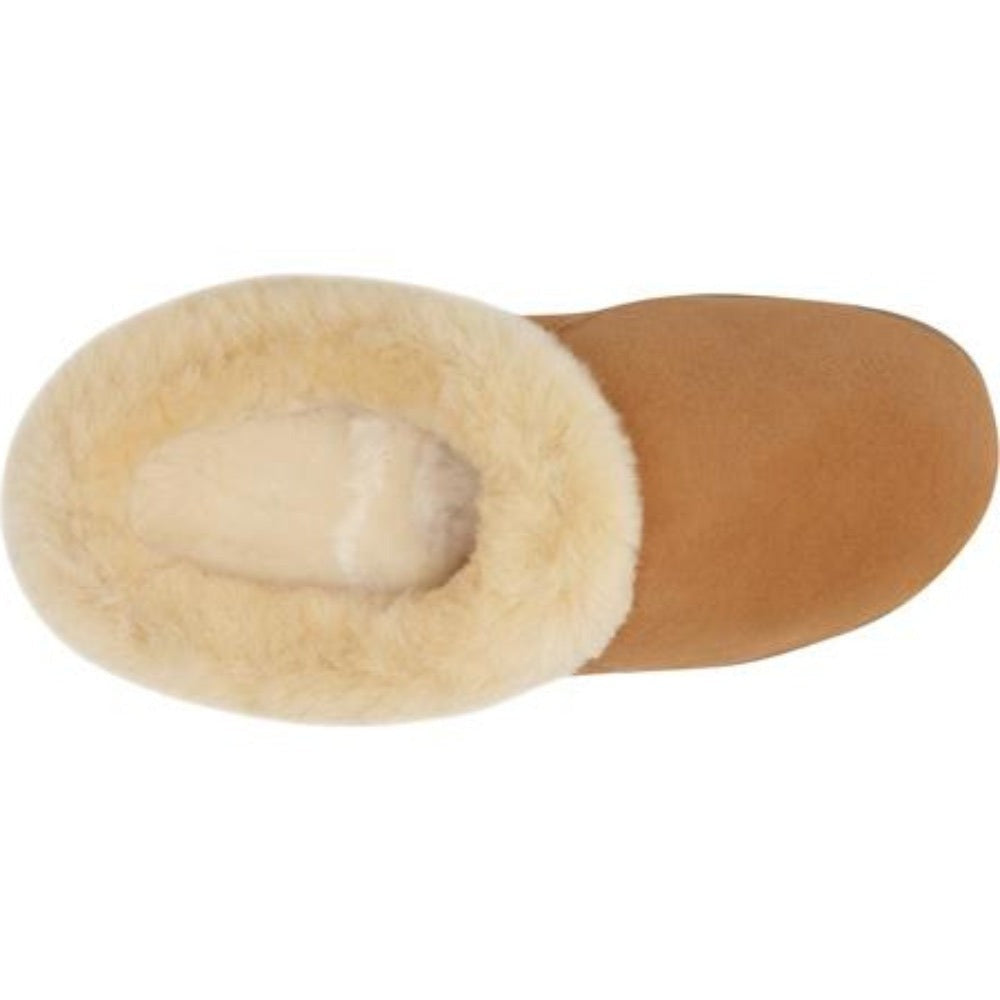 Acorn Women's Shearling Collar Slipper in Walnut Top Down View #color_walnut